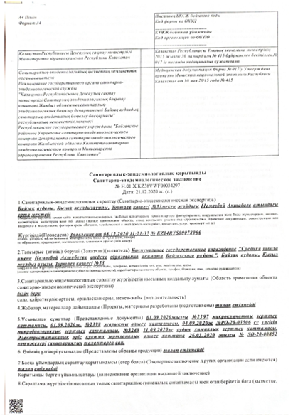 СЭС қорытындысы