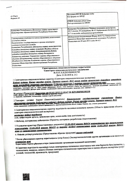 СЭС қорытындысы. "Алпамыс" шағын орталығы